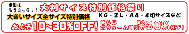 �f�W�J���B������f�W�J�� �v�����g ��I�唻�T�C�Y�ʐ^�̓��ʉ��i�Ղ�