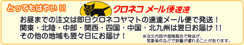 �f�W�J���v�����g�𑬒B���[���ւōő��������͂��B��ォ��S���ɔ������Ă��܂��B